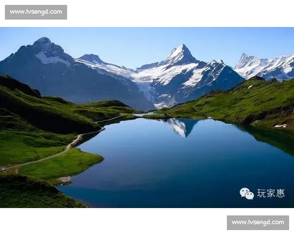 马耳他对阵爱尔兰实力对比与赛前走势深度解析全面观察与关键看点